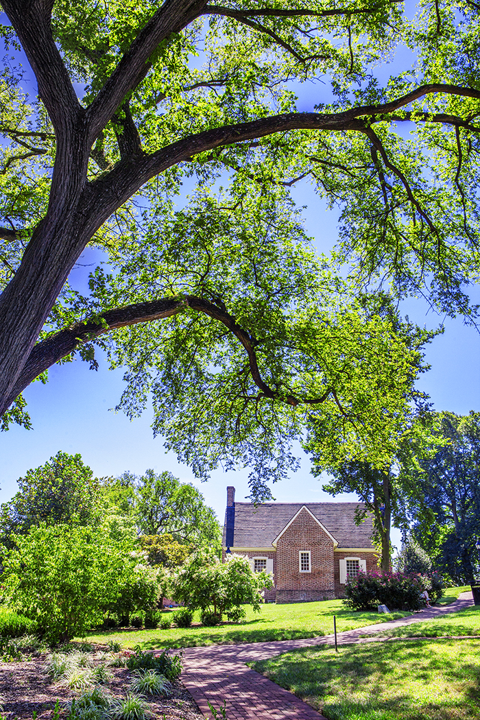 Annapolis houses 