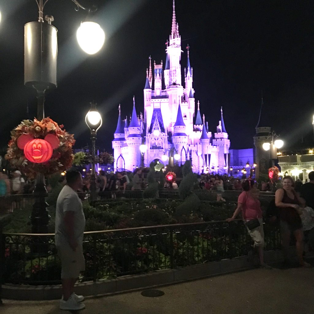 Cinderella castle 