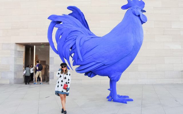 blue rooster