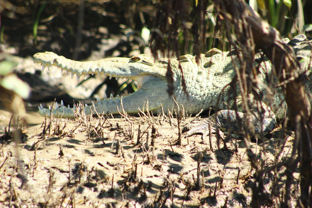 Palo Verde National Park