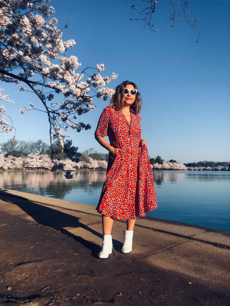 tidal basin, Washington dc, cherry blossoms