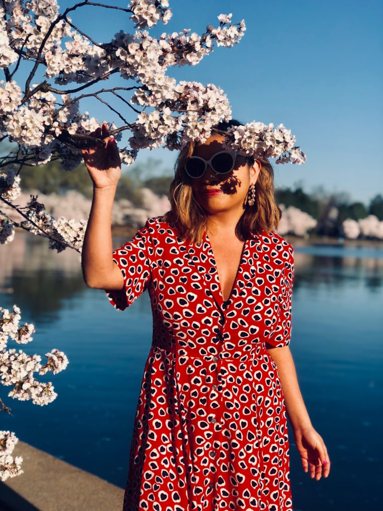 cherry blossom, tidal basin. Washington dc, 